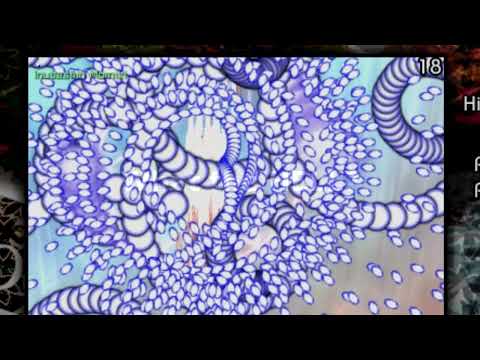 What did ZUN mean by this???