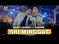 Denny Caknan - Sri Minggat (Feat. Danang Pradana Dieva)