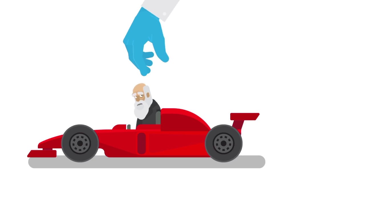 Accelerating Evolution - Our project visualized (iGEM Heidelberg 2017)