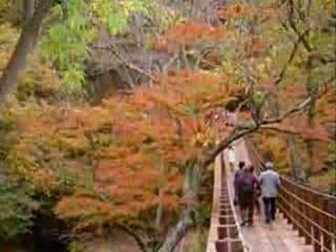 加山雄三 Kayama Yuzo - Someday Sometime