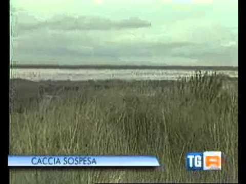 RAITRE TGR PUGLIA 19.35 Caccia sospesa. (08-09-2012)