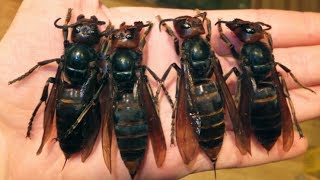 14 Facts That Will Haunt Your Soul