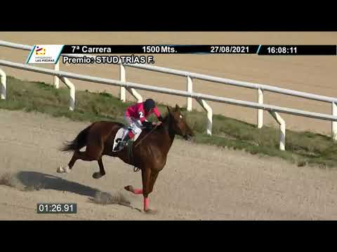 210827 c07 - LA CONTRAFLOR - HIPODROMO LAS PIEDRAS