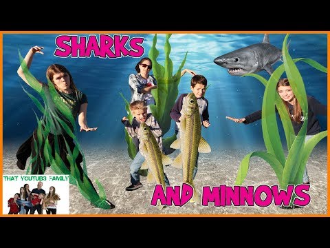 SHARKS and MINNOWS / That YouTub3 Family