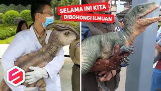 Download lagu Katanya Sudah Punah, Penampakan Dinosaurus Ini Bikin Gempar Orang-orang.. mp3