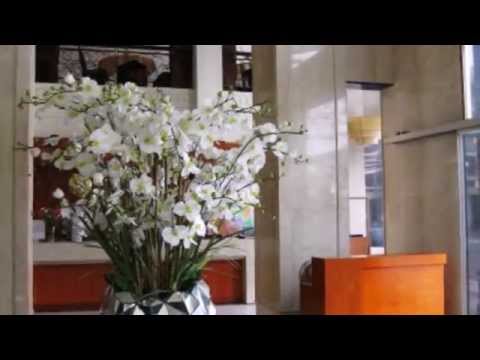 Asia Paradise Hotel 3* Вьетнам