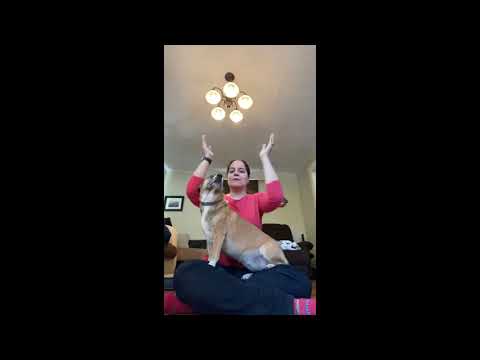 MGOL Rhymes: All the Fish are Swimming in the Water