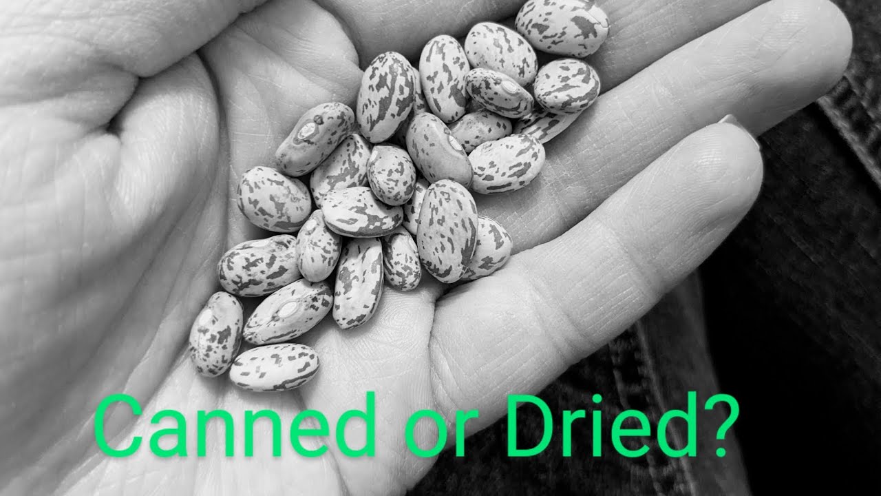 Pros and Cons of Canned vs. Dried Beans Pros and Cons