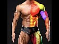 Bodybuilders Anatomy Guide to Shoulders