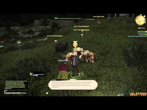 Final Fantasy XIV ARR - Level 10 Arcanist Duty