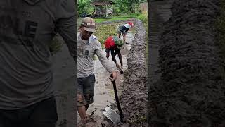 Download lagu mopok galengan grup mp3