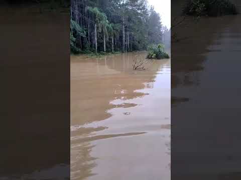 MORADORES DO BAIRRO MORADA DO SOL E HORTA DA PREFEITURA ESTÃO ILHADOS E COM MEDO DO LAGO CALAZAM