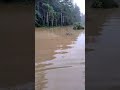 MORADORES DO BAIRRO MORADA DO SOL E HORTA DA PREFEITURA ESTÃO ILHADOS E COM MEDO DO LAGO CALAZAM