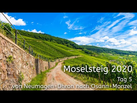 Moselsteig 2020 - Tag 5 - von Neumagen-Dhron nach Osann-Monzel