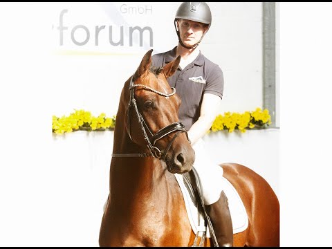 D'AVINCI 3j. Wallach v. D-Power AT