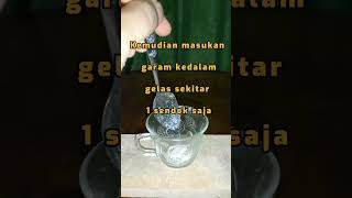 Download lagu DENGAN CARA INI BISA HILANGKAN BAU MULUT DAN BERSIHKAN KARANG GIGI #shorts #edukasi #herbal mp3