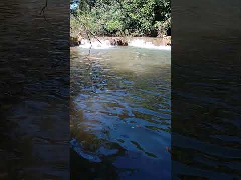 natureza no córrego do peixe #tocantins  #serrasgerais