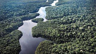 COP30: Alemania se compromete a apoyar la iniciativa de Brasil para conservar los bosques tropicales