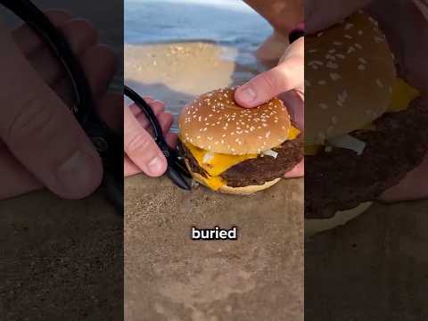 These Are Hiding Under The Sand