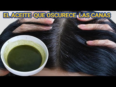 This oil darkens gray hair from the first use. See how to prepare it. #livelonger