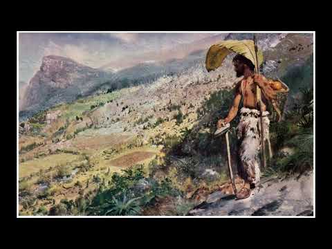 Daniel Defoe & J. V. Pleva: Robinson Crusoe #1