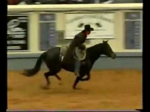 Stacy Westfall 2003 NRHA Futurity Freestyle Bridleless Reining