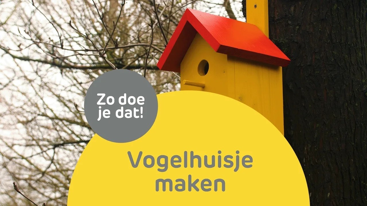 Hoe maak ik een vogelhuisje?