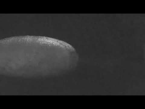 opr777 x santrope ft. Pazzy - 4ściany