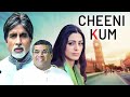 Cheeni Kum 2007 Romantic Hindi Comedy Amitabh और Tabu की बेहतरीन मूवी 