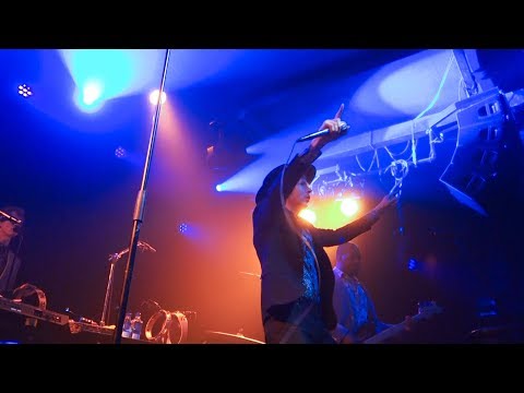 Thumbnail for Beck - Hollywood Freaks – Outside Lands Night Show, Live in San Francisco by Jason Falkner