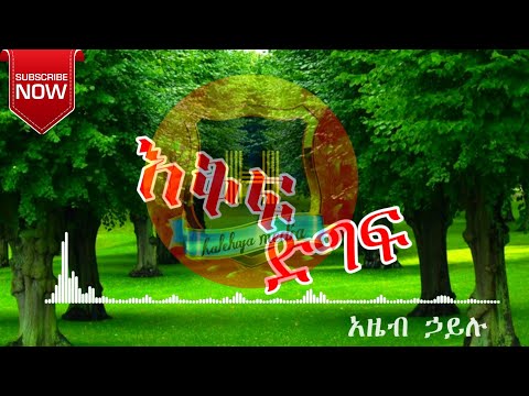 Azeb Hayilu / አዜብ ኃይሉ/ እቅፍ ድግፍ lyrics video