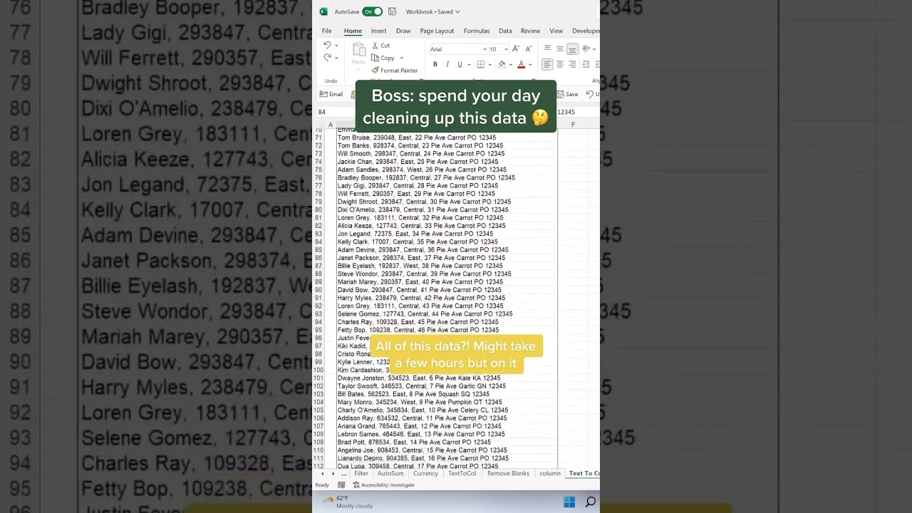 How to clean data in seconds using text to columns. 🤤 #excel #sheets