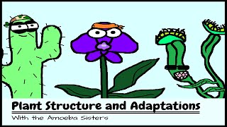 Plant Structure and Adaptations