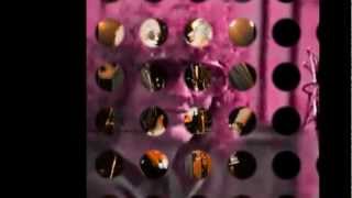 33  Mott The Hoople   Rose 1973 with lyrics