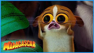 Well HI there! | DreamWorks Madagascar