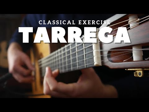 CLASSICAL | Exercise in E-Minor | Francisco Tarrega