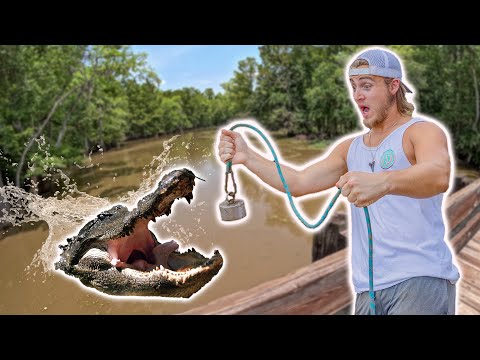 Magnet Fishing In ALLIGATOR Infested Water - Dangerous Day Of Magnet Fishing