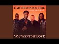 Earth, Wind & Fire || You Want My Love