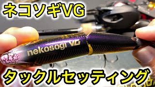 ネコソギVGのタックルセッティングを紹介。琵琶湖の冬の定番のデッドスローのバス釣り