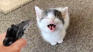 Miniature vidéo