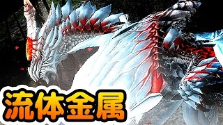 【MHF-Z実況】『ハルドメルグ』戦は閃光玉が有能すぎる！【流体金属】【モンハンフロンティアZ】