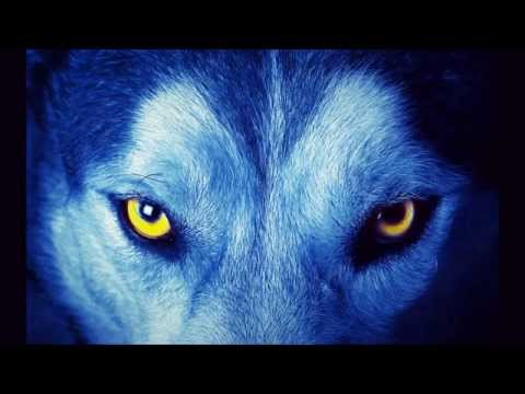 Sanglitek - Hypnotique -Projet live Epitath x