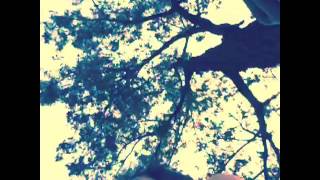 Sapo Azul - Jesse &amp; Joy Cover by MussaMusicgt