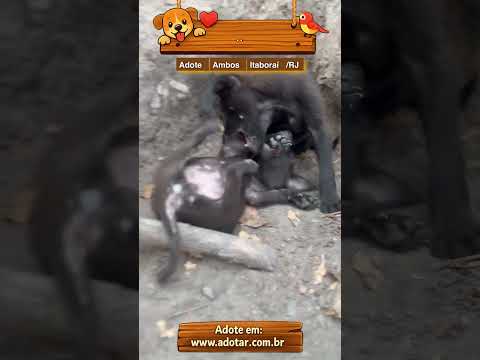 Vídeo de ..