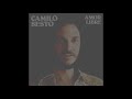 Alma de nadie - Camilo sesto (letra)