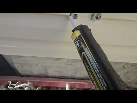 Staying Proactive Against Pests in Wall...