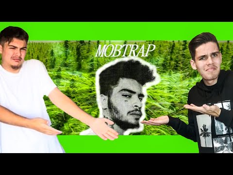 Mobtrap - Traficant | Reacție