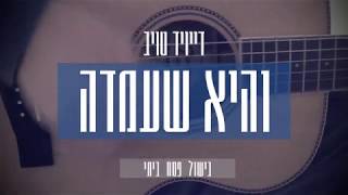 והיא שעמדה - דייויד טויב | Vehee Sheamda - David Taub