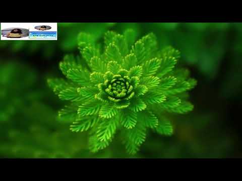 Ceng jing qian shou = Guo li // 曾经牵过手 = 郭力