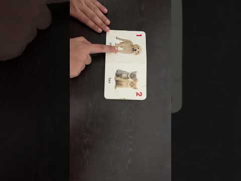 My first number book - A book reading for Babies and kids